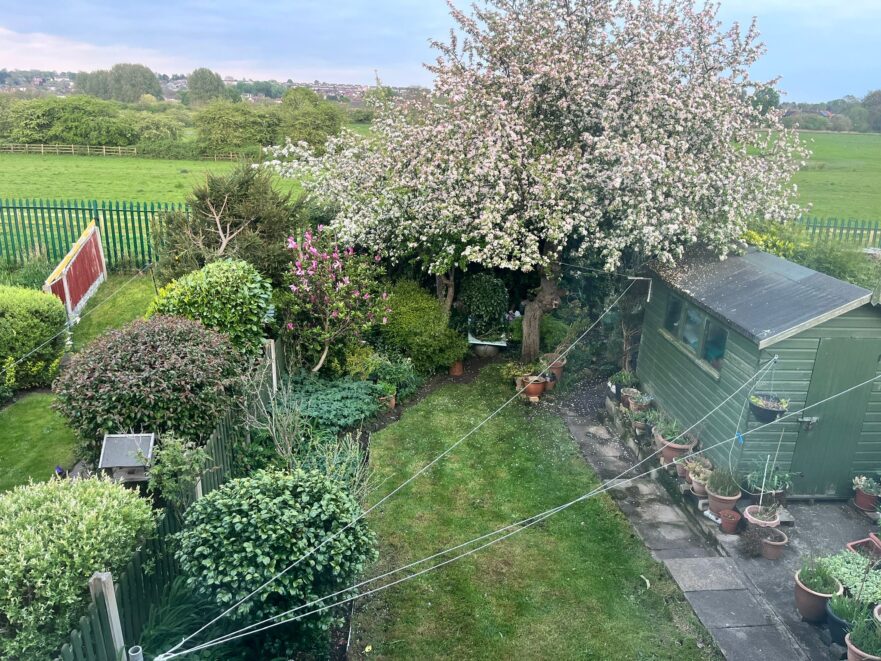 272C5BA0-E795-406B-B861-114C4687BE46