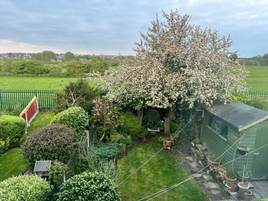 8885F8C5-3965-48EF-BDD5-C2C08B95D4E6